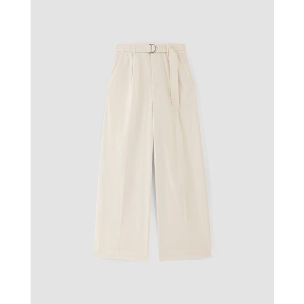 NWT Everlane The Pleated Wide-Leg Chino - Picture 6 of 8